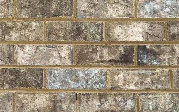 Cherokee Brick - Mosstown